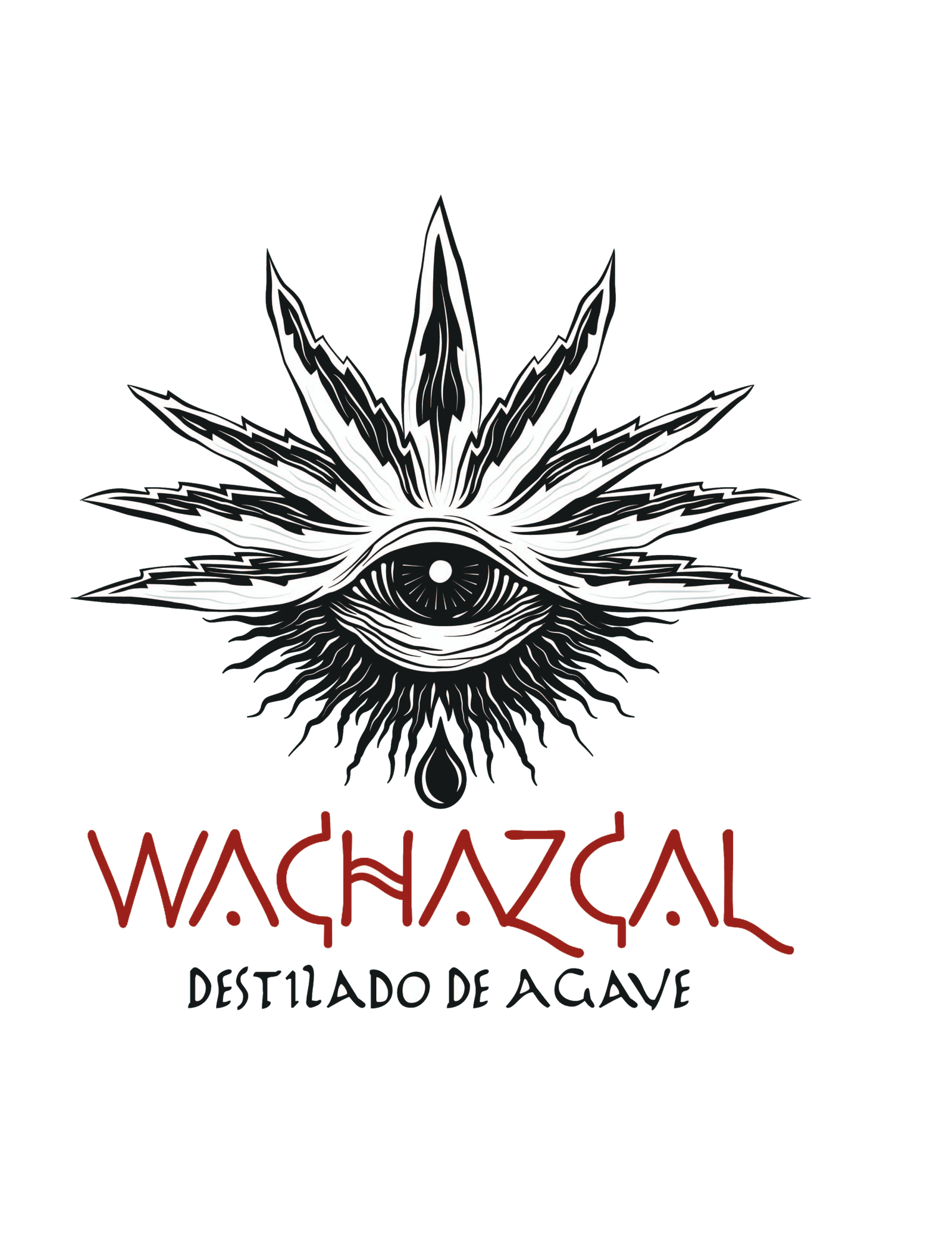 Wachazcal